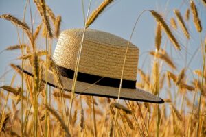 夏の抜け毛対策にはどんな方法が効果的ですか？