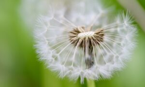 更年期のほてりと冷えのぼせを改善する方法は？