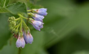 冷え性の夏対策にはどんな方法があるの？