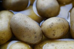 麦茶に含まれるカリウムの健康効果とは？