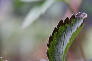冷房病による体調不良の対策は何ですか？